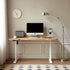 Electric Height Adjustable Computer Desk