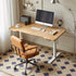 Electric Height Adjustable Computer Desk