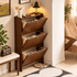 Tulsa Solid Rubber Wood Shoe Cabinet in Walnut Colour