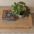 Natural oak TV cabinet styled with books, plant, candle, and home décor accessories